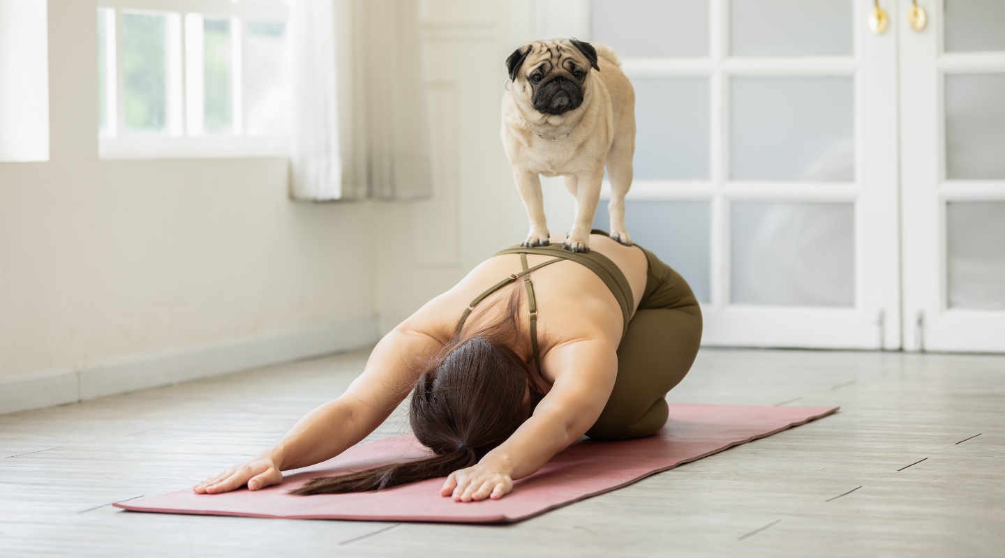 loving yourself through yoga image